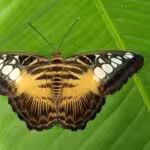 20260805_104959-scaled.jpg